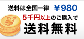 5000�߰ʾ头����������̵��